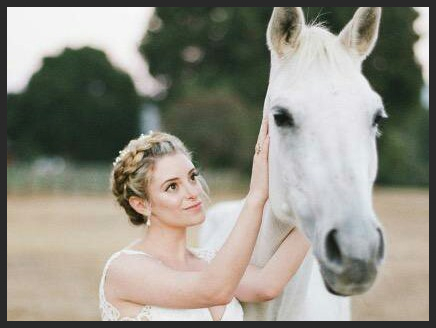 White horse and Bride